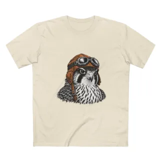 Kārearea, Aviator Cap